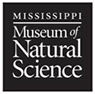 10_MSMuseum_95w