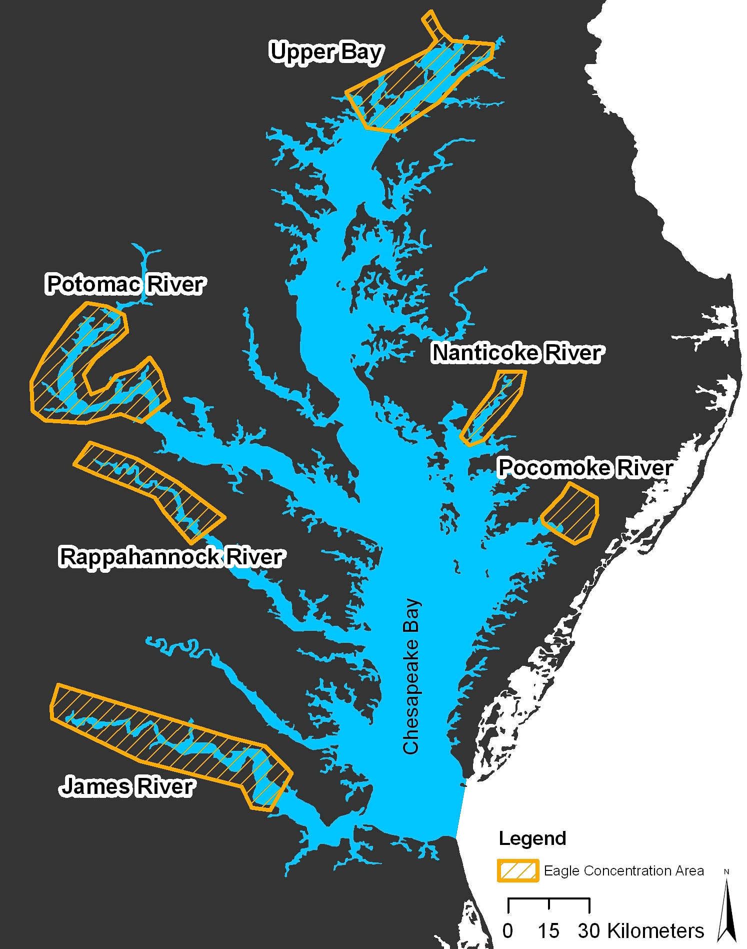 Eagle Concentration Areas In The Chesapeake Bay. The Center For Conservation Biology – Bald Eagle Concentration eagle concentration areas in the chesapeake bay. the center for conservation biology – bald eagle concentration