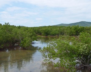 Great Pond Great Pond