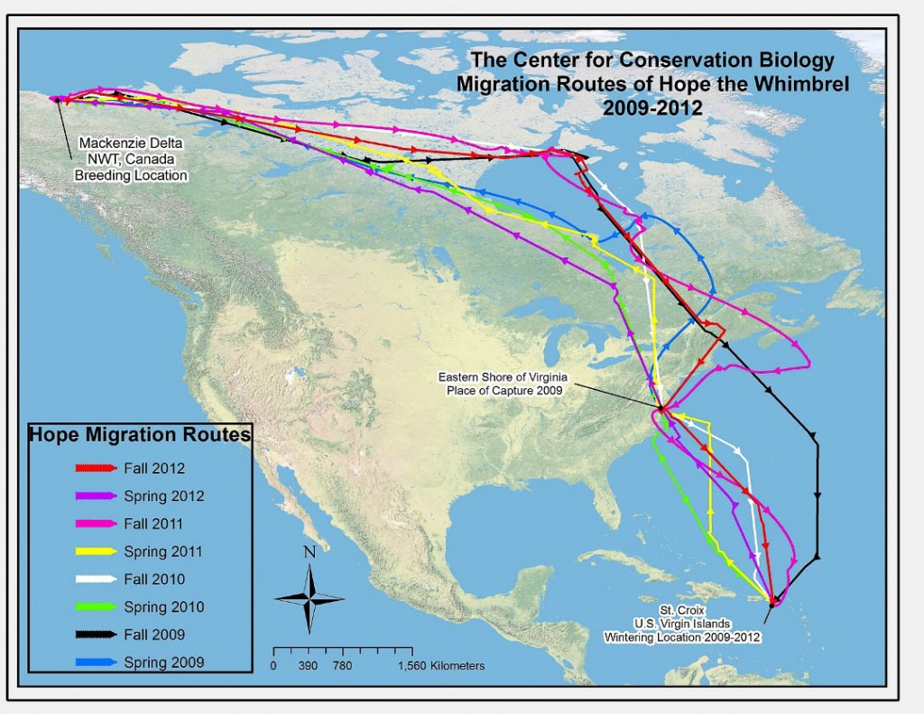 Map of Hope’s movements from spring 2009 through fall 2012 Map of Hope’s movements from spring 2009 through fall 2012