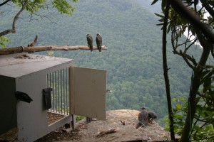 hack site near Grandview in the New River Gorge National Park, WV