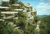 Hawksbill, Shenandoah National Park, VA Hawksbill, Shenandoah National Park, VA