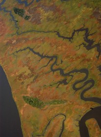 Marsh complexes in the Chesapeake Bay contain a mixture of diverse habitat components that are essential to different bird species. Habitats for marsh birds are often mediated by physical conditions of elevation, hydrology, and salinity. Marsh birds also respond differently to features such as tidal guts, floristics, and the upland habitat matrix. Photo by Bryan Watts.