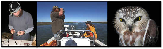 Learn about avian research at CCB