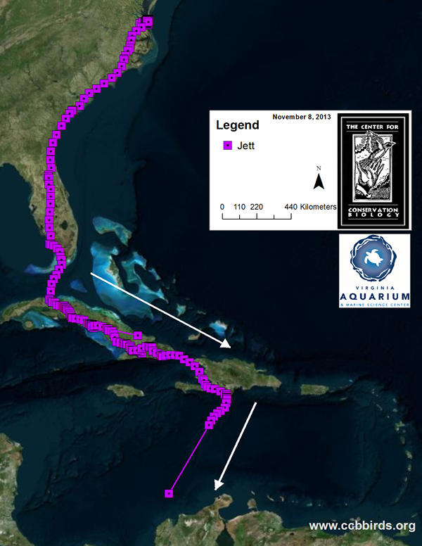 We lost Jett's signal on the last leg of his migration south in fall 2013. The weather changed on his flight across the Caribbean Ocean and we believe he was lost at sea.