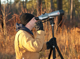 Mike Wilson uses a spotting scope to identify individually banded red-cockaded woodpeckers within the Piney Grove Preserve. Photo by Bryan Watts.