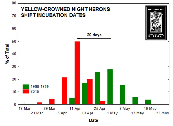 Comparison of yellow-crowned night heron incubation dates in 2015 and the 1960s in Tidewater Virginia. Yellow-crowns are arriving earlier and laying eggs earlier compared to the 1960s. Data from CCB.