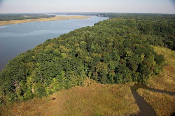 An aerial view of the Fones Cliffs property approved for development by Richmond County Board of Supervisors. Photo by Bill Portlock.