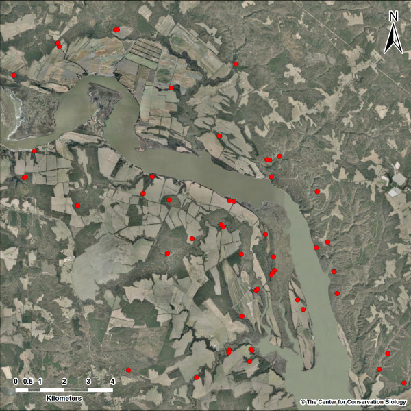 Currently known bald eagle nests surrounding Fones Cliffs. Data from CCB.