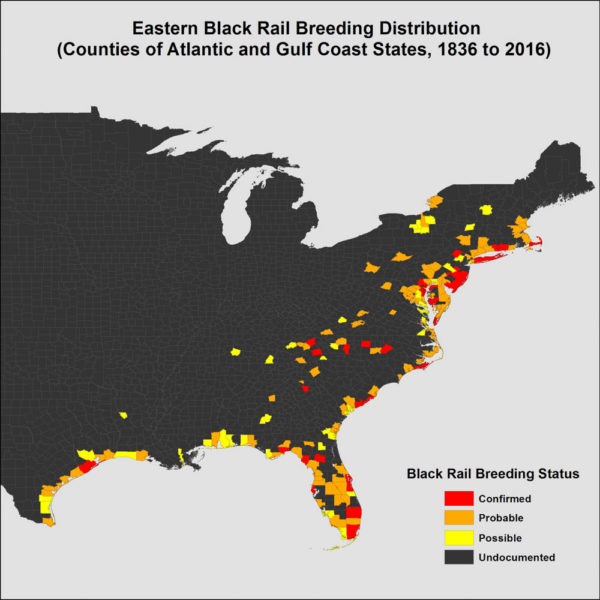 Map of counties with historic (1836-2016) credible records of eastern black rails during the breeding period (1 April through 31 August). Data from CCB.
